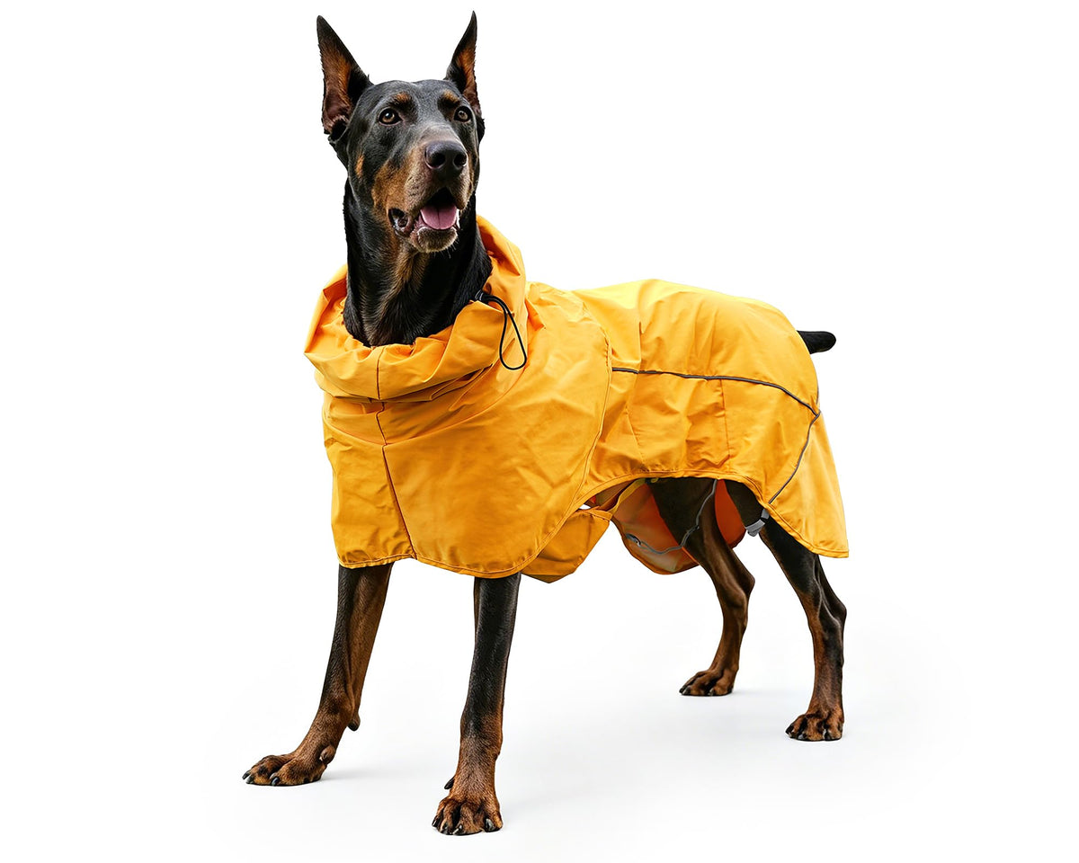 Dog Raincoat with Hood (yellow (Mesh Lining) / XL)