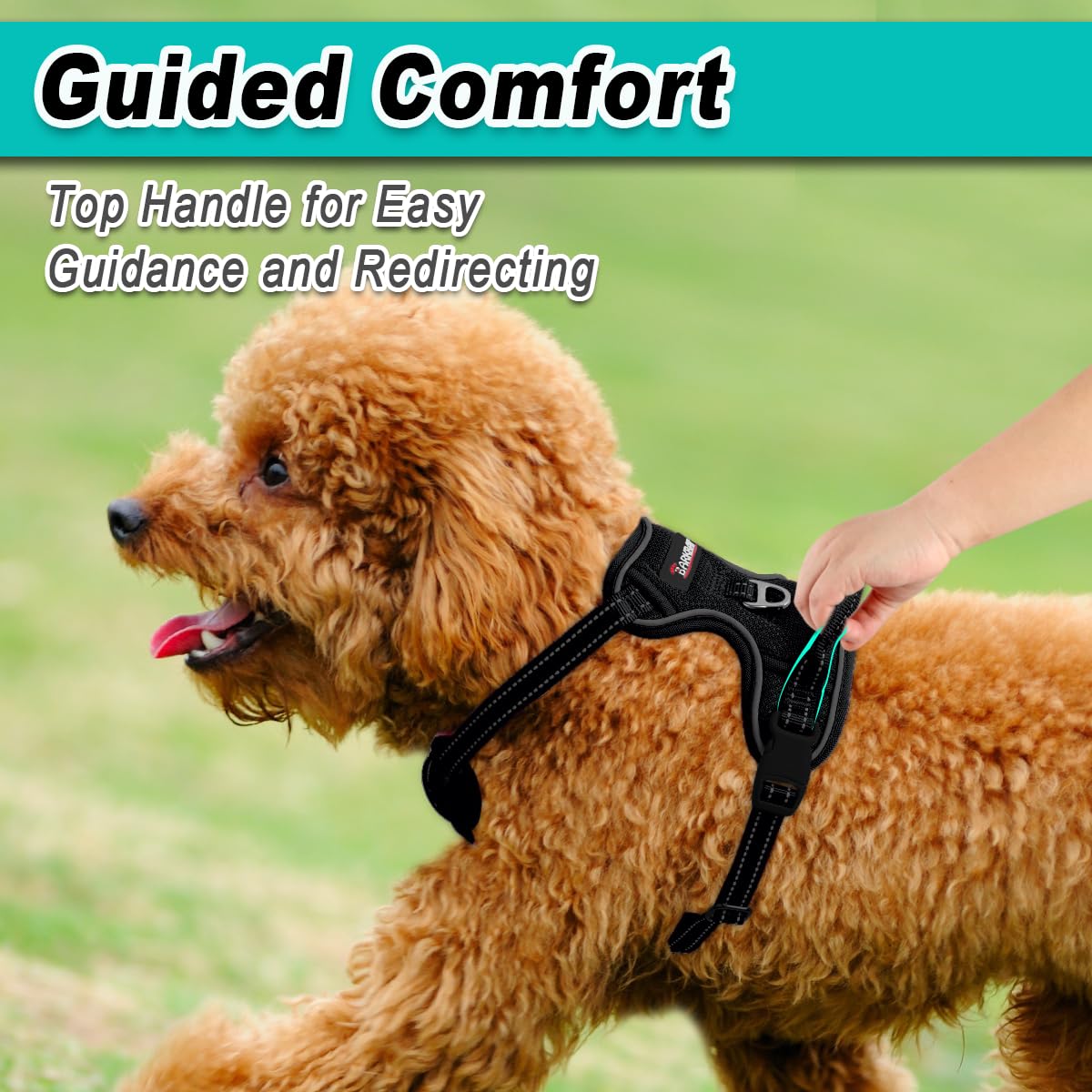 Dog Harness for Small Sized Dog No Pull Mesh 2 Clips Dog Vest (Black-Mesh / X-Small)