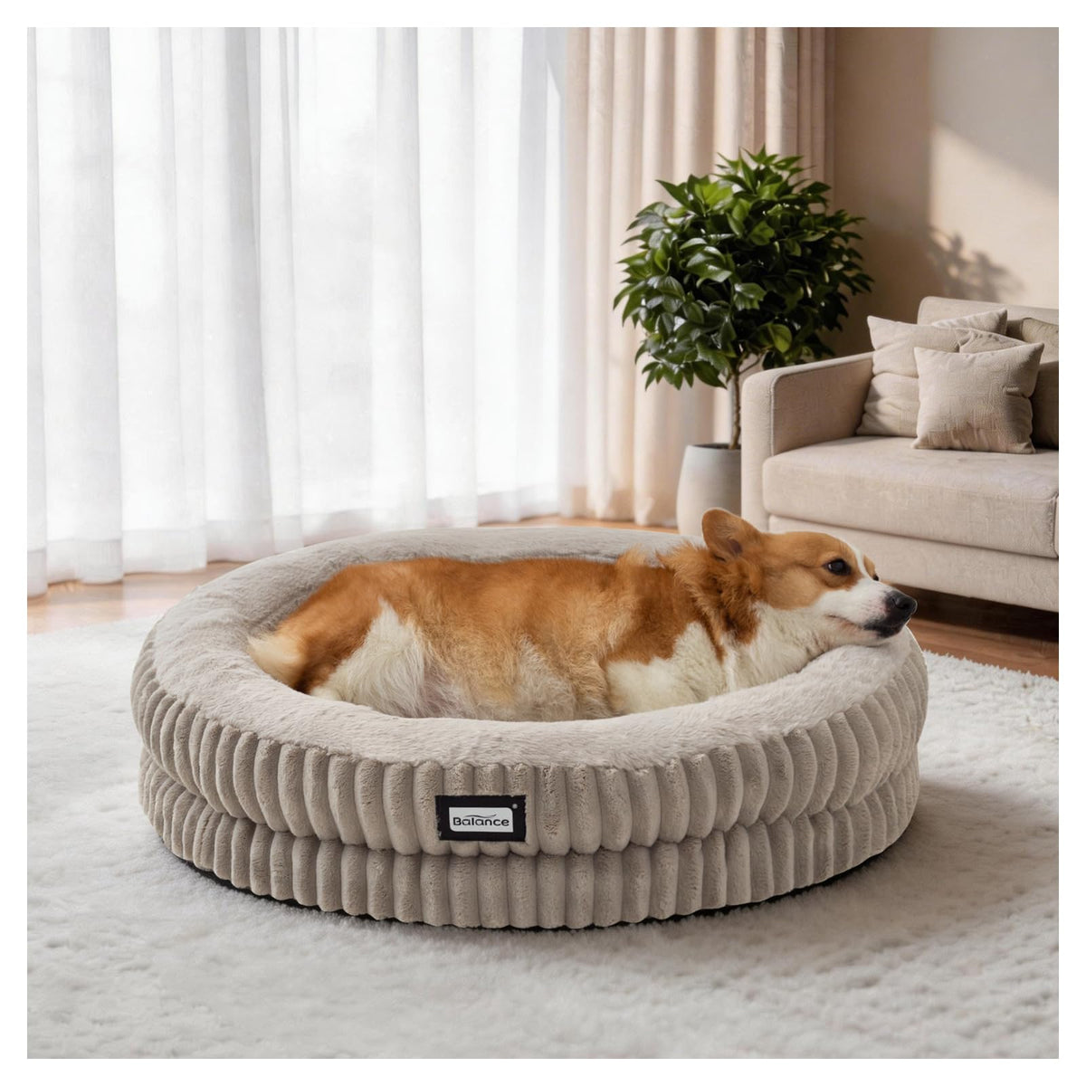 Donut Dog Bed (30.0"L x 30.0"W x 7.0"Th / Wind Chime)
