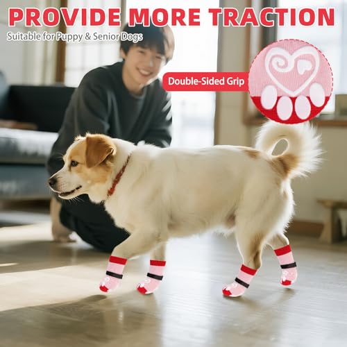 Dog Socks for Hot