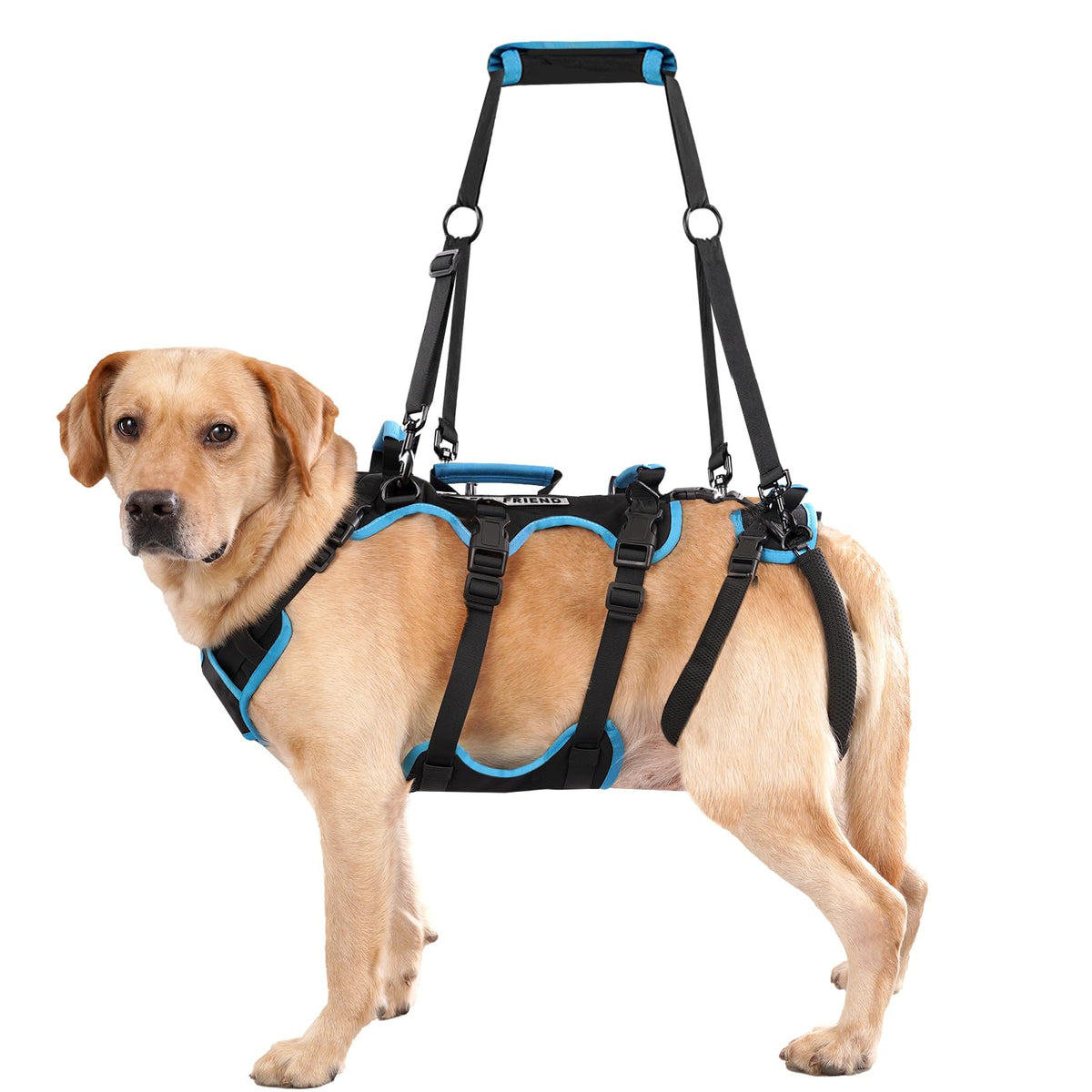 Dog Lift Harness for Large Male Dogs (X-Large / Black)
