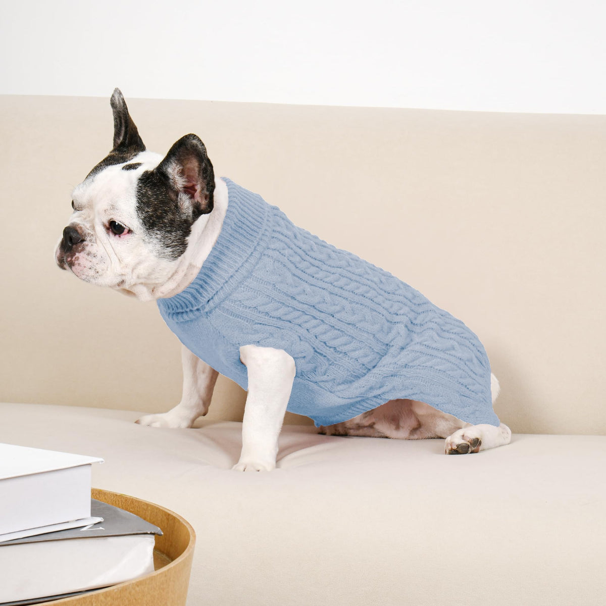 Dog Sweater 2 Pack for Medium Dogs (Blue & Green / Medium)