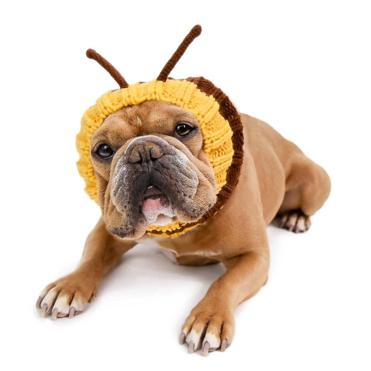 Bumble Bee Costume (Medium)