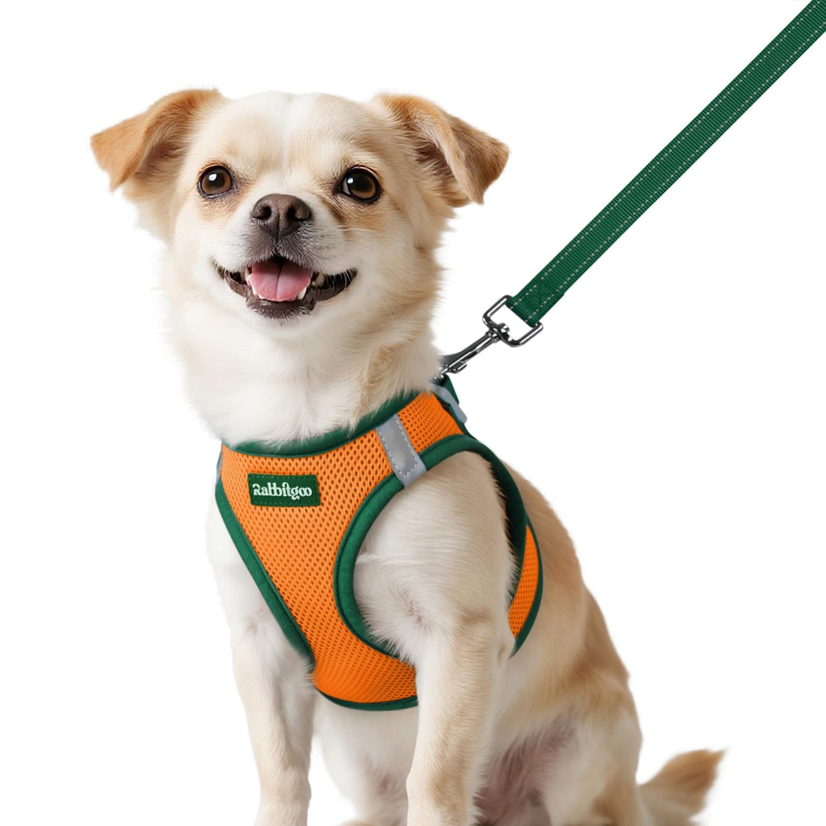 Dog Harness Small Sized and Leash Set (Orange & Dark Green / XXS (Chest: 12.4"-14.2"))
