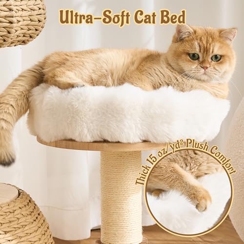 Modern Cat Tree for Indoor Small & Medium Cats (Natural w/ Bed-30")