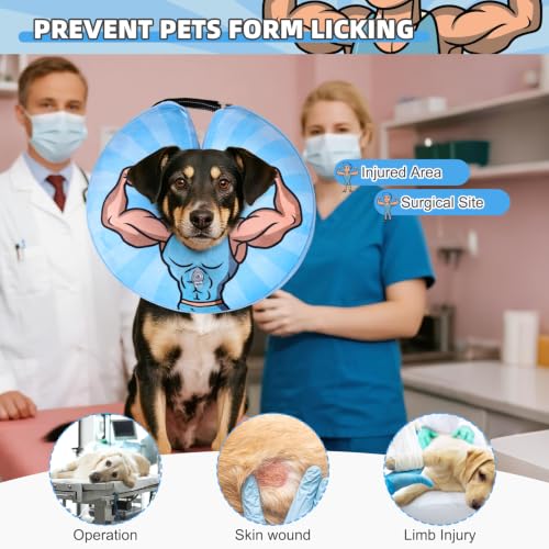 Inflatable Dog Cone Collar Alternative After Surgery (Hercules / M+ (Neck:13-15in))