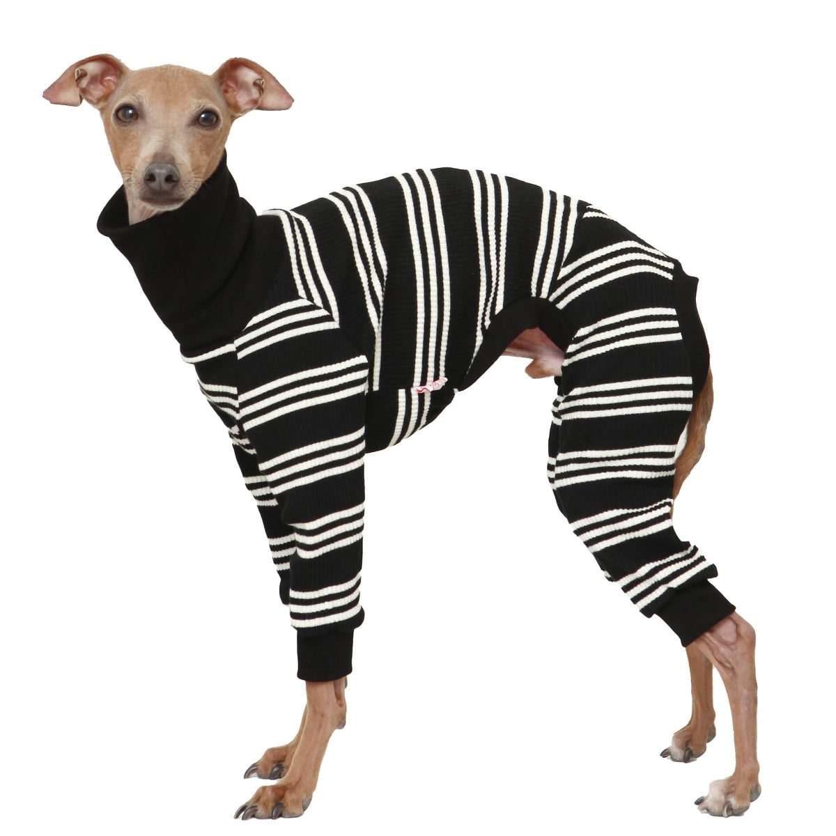 D Doggy Star Italian Greyhound Clothes Soft Stretchy Onesie Refined Stripe Outfit Whippet for Dog Coat (3XL / Onesie Ivory Stripe)