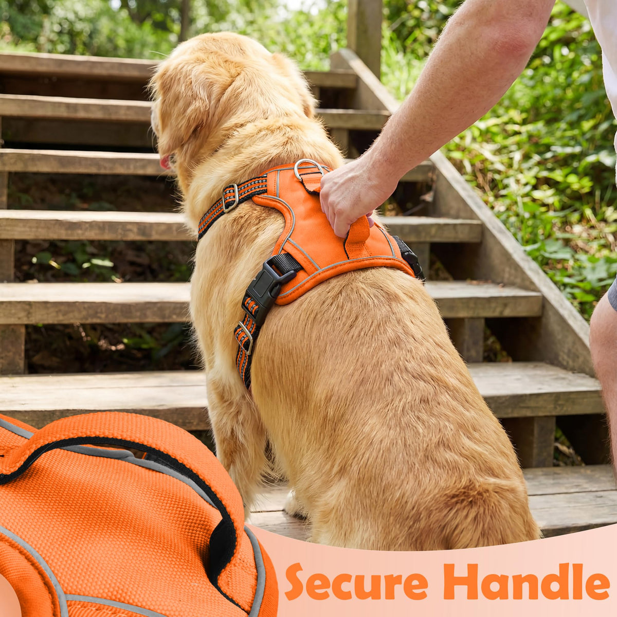 Dog Harness Small Sized Dog (Orange / Small)