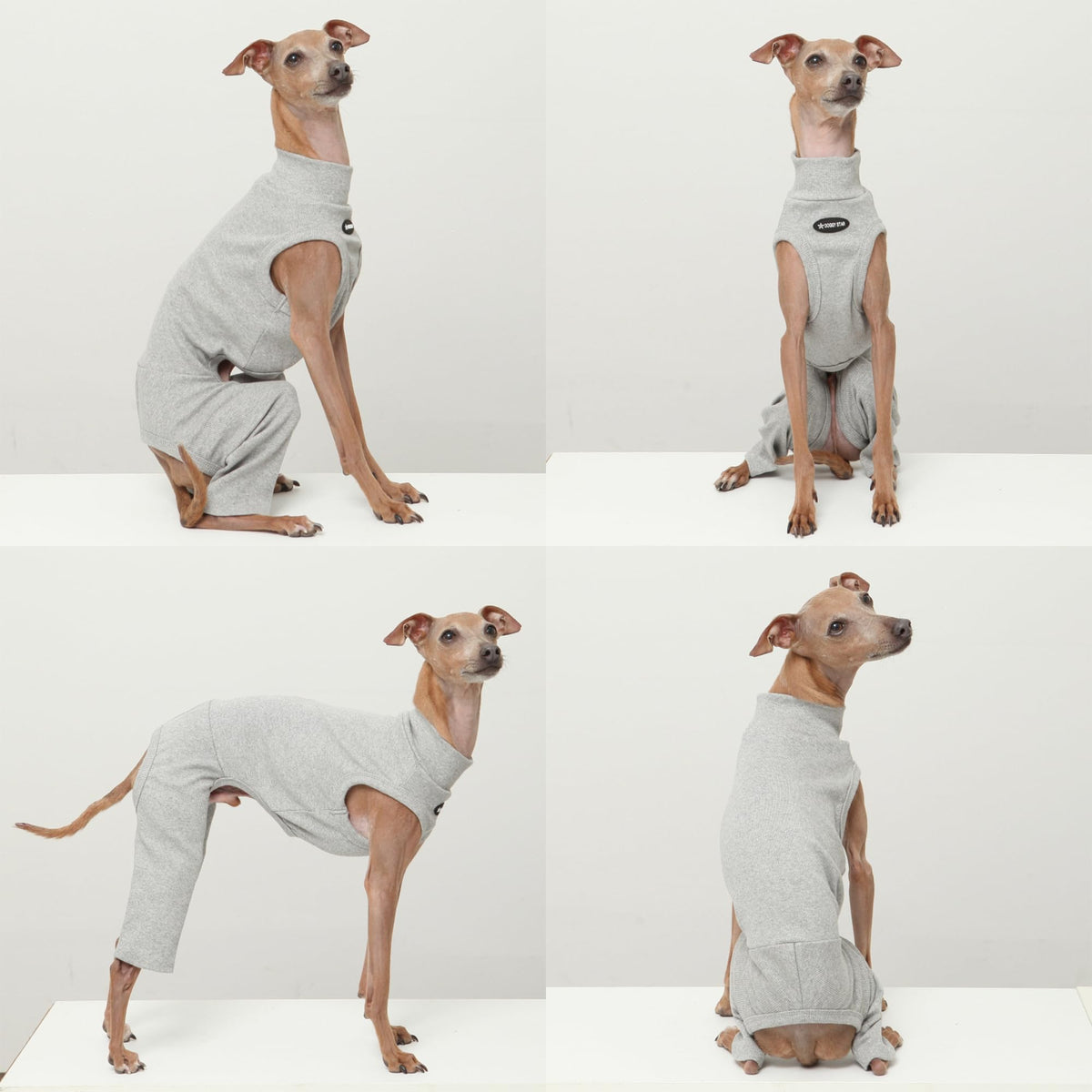 D Doggy Star Italian Greyhound Clothes High (M / COORDI GREY)