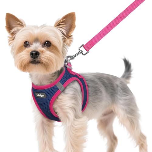 Dog Harness Small Sized and Leash Set (Navy Blue & Rose Red / XS (Chest: 13.3"-15.5"))