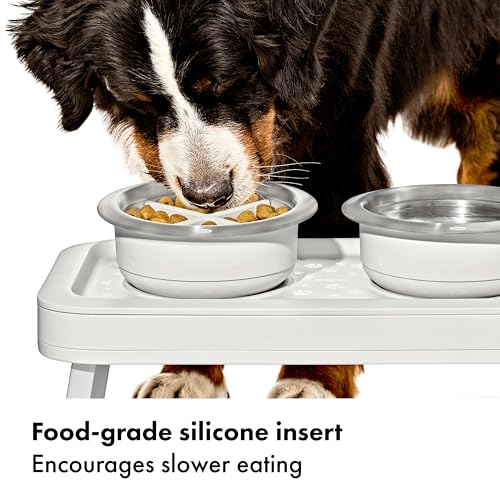 Pet Easy Clean Slow Feeder (Slow Feeder - Medium)