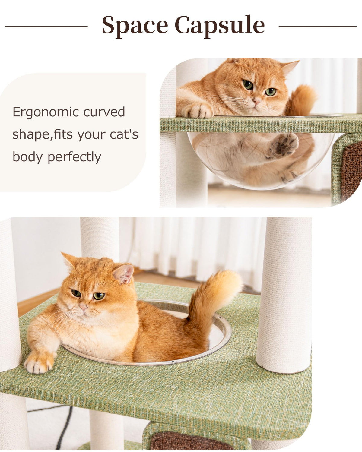 53" Cat Tree Tower for Large Cats (Green 53'')
