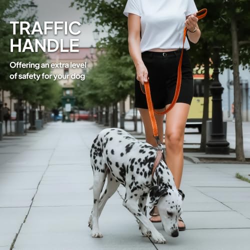 5FT 1IN Heavy Duty Dog Leash for Large Dogs with 2 Padded Handles (Orange / 1 in x 5 ft)