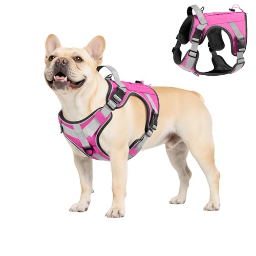 Heavy Duty Tactical Dog Harness for Small Dogs (Pink / S (Chest: 19.6-31.5", Neck: 11-19.6"))