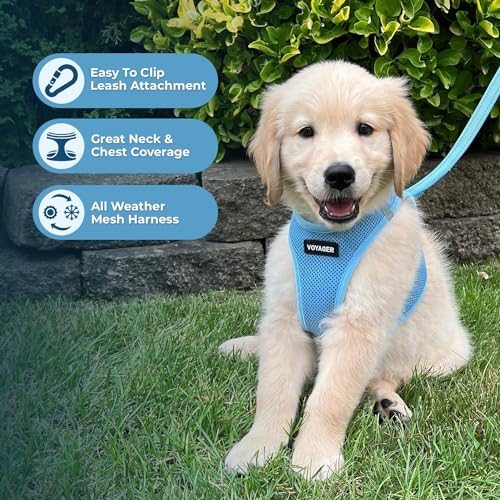 Voyager Step in Air All Weather Mesh Harness and Reflective Dog 5ft Leash Combo with Neoprene Handle (Baby Blue / XL (Chest: 20.5 - 23"))