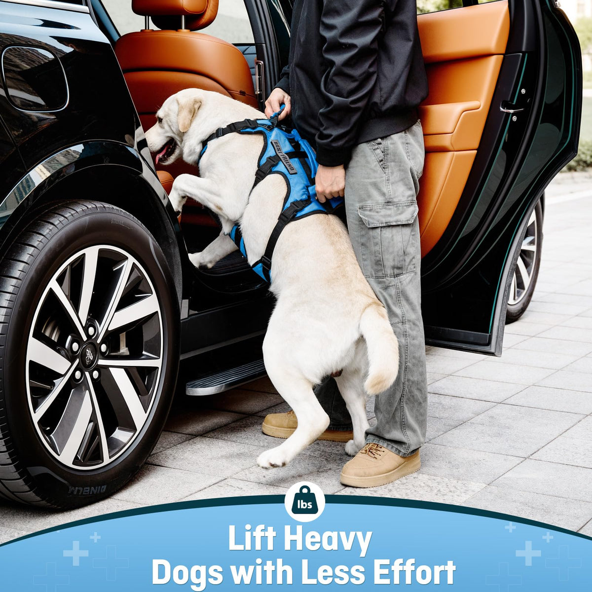 Dog Lift Harness for Large Dogs (Blue / X-Large)
