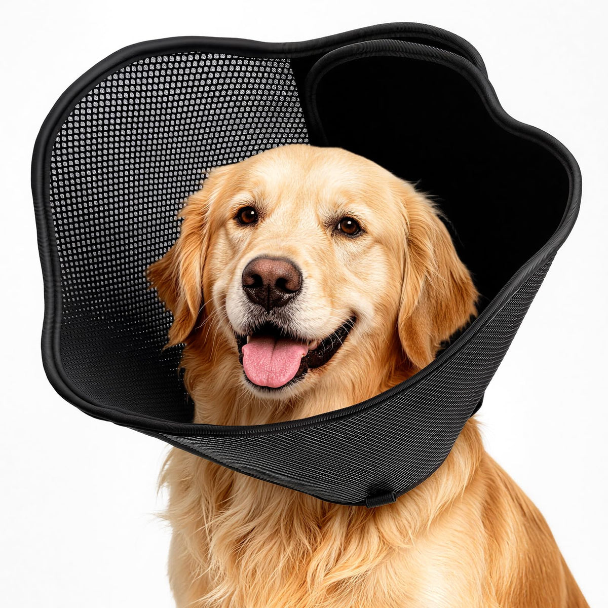Soft Dog Cone Collar (Black / 2XL(Neck Girth: 21.3''-24''))
