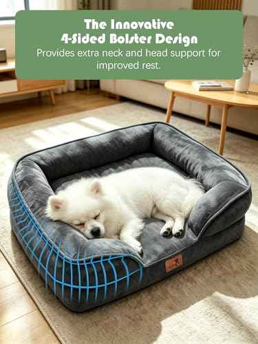 Orthopedic Dog Bed with Sides (24.0"L x 18.0"W x 6.0"Th / Dark Grey)