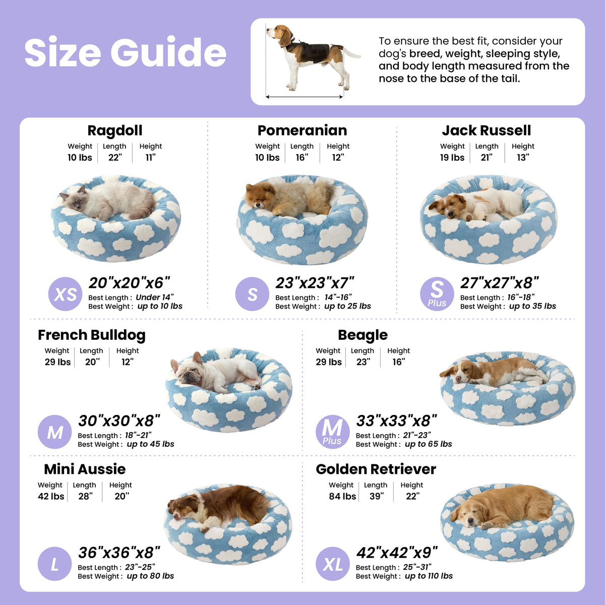 Shown on TV Jacquard Donut Cute Small Dog Beds (27.0"L x 27.0"W x 8.0"Th / Flower Garden Green)