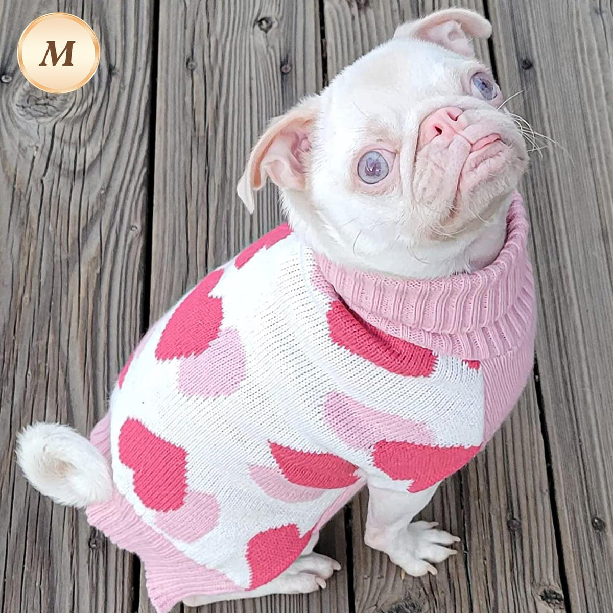 Valentines Dog Sweater (Medium (7-11lbs) / Valentine)