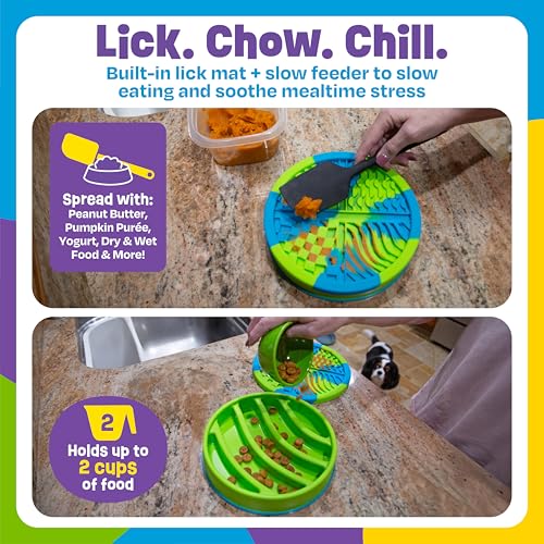 Circle 2-in-1 Slow Feeder Bowl and Lick Mat (Circle Slow Feeder and Lick Mat)