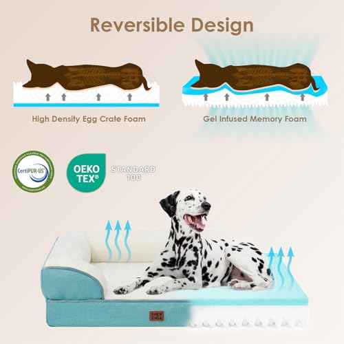 Orthopedic XXL Dog Bed (Turquoise Blue / 46.0"l X 35.0"w X 7.5"th)