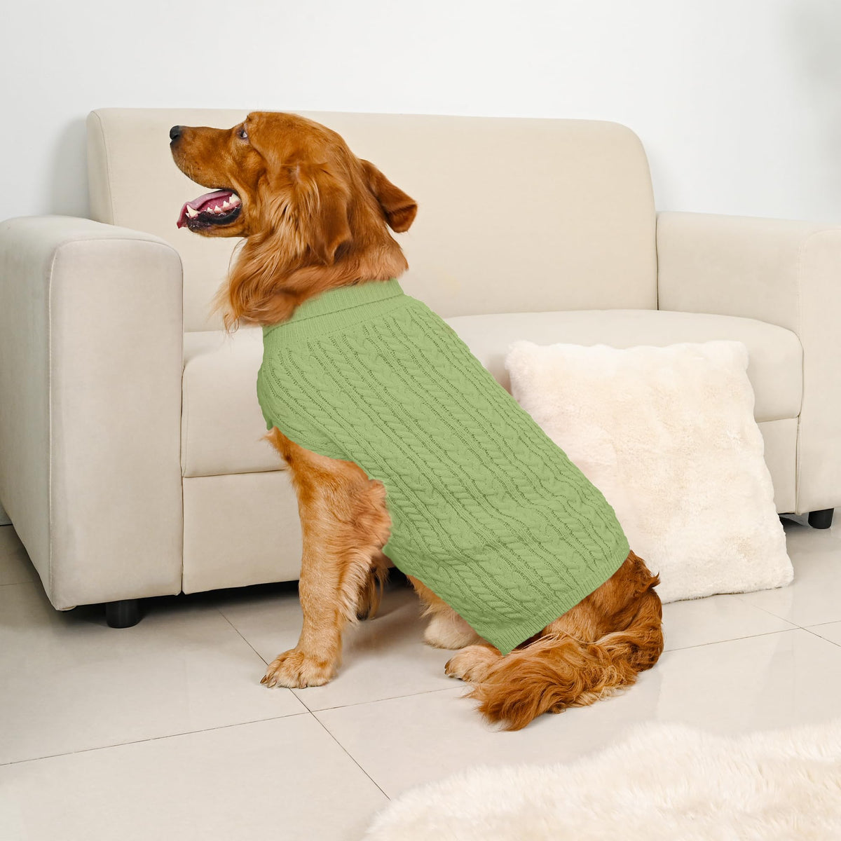 Dog Sweater 2 Pack for Large Dogs (Blue & Green / XX-Large)