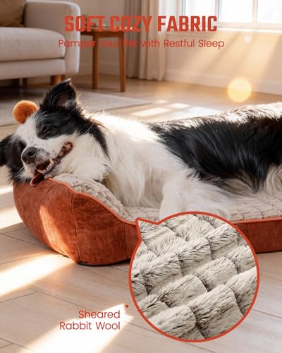 Orthopedic Dog Beds Couch Large Sized Dogs