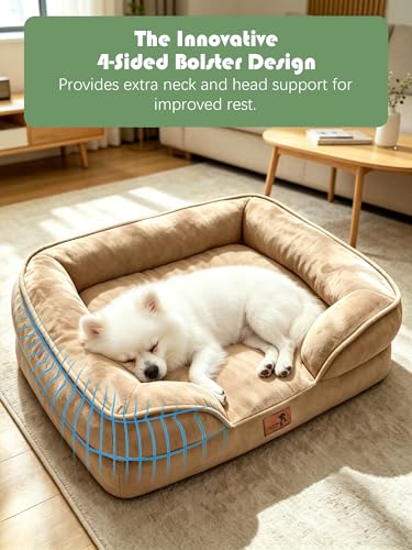 Orthopedic Dog Bed with Sides (24.0"L x 18.0"W x 6.0"Th / Brown)