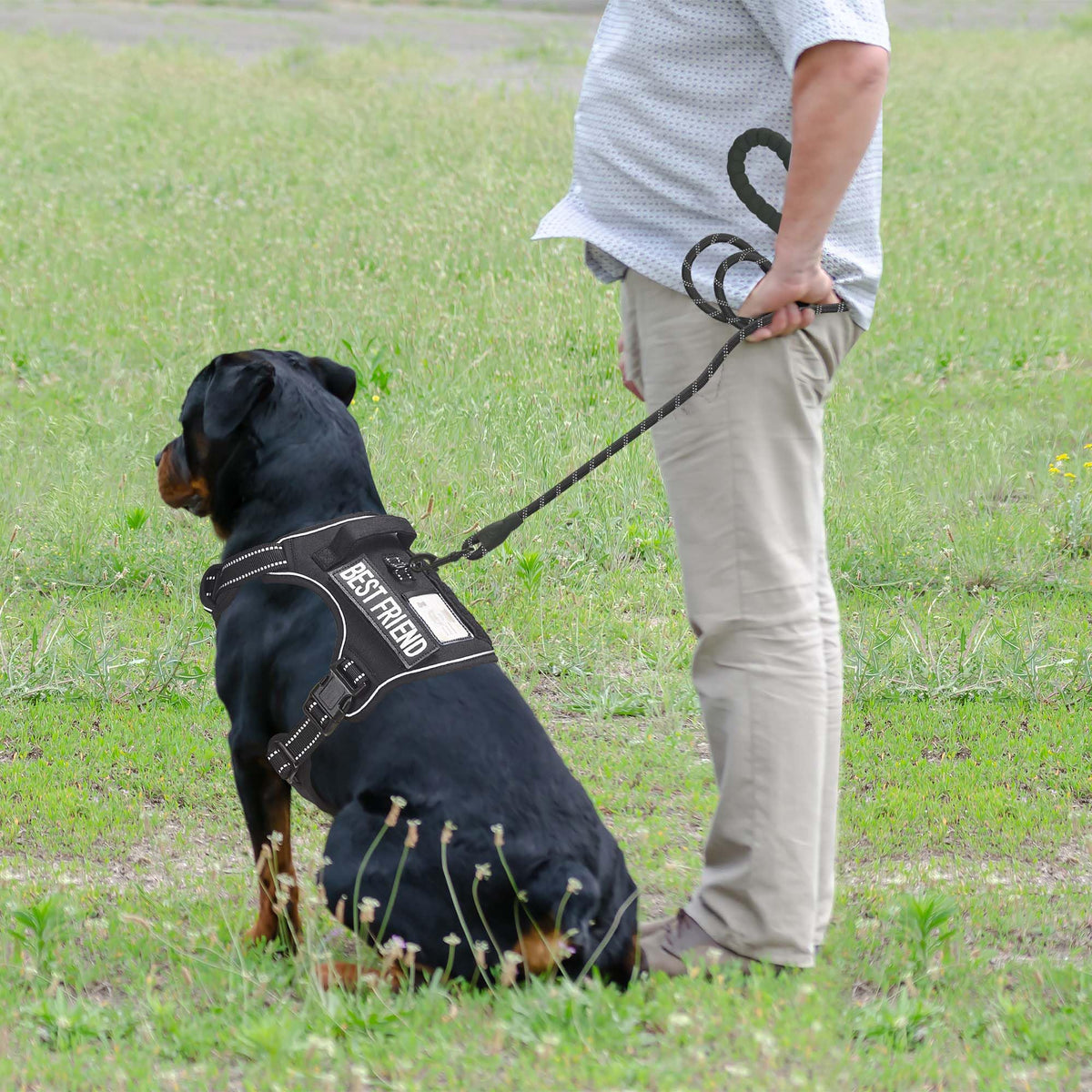 Tactical No Pull Dog Harness with Leash (Black / X-Large)