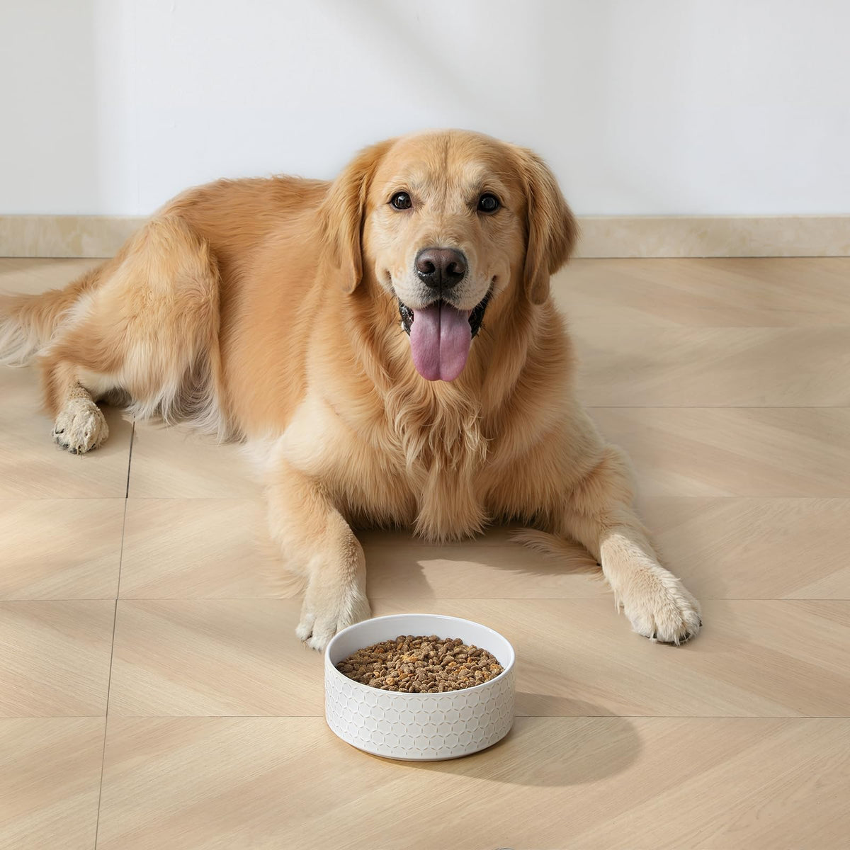 Ceramic Dog Food Bowl (Honeycomb / 6 Cups)