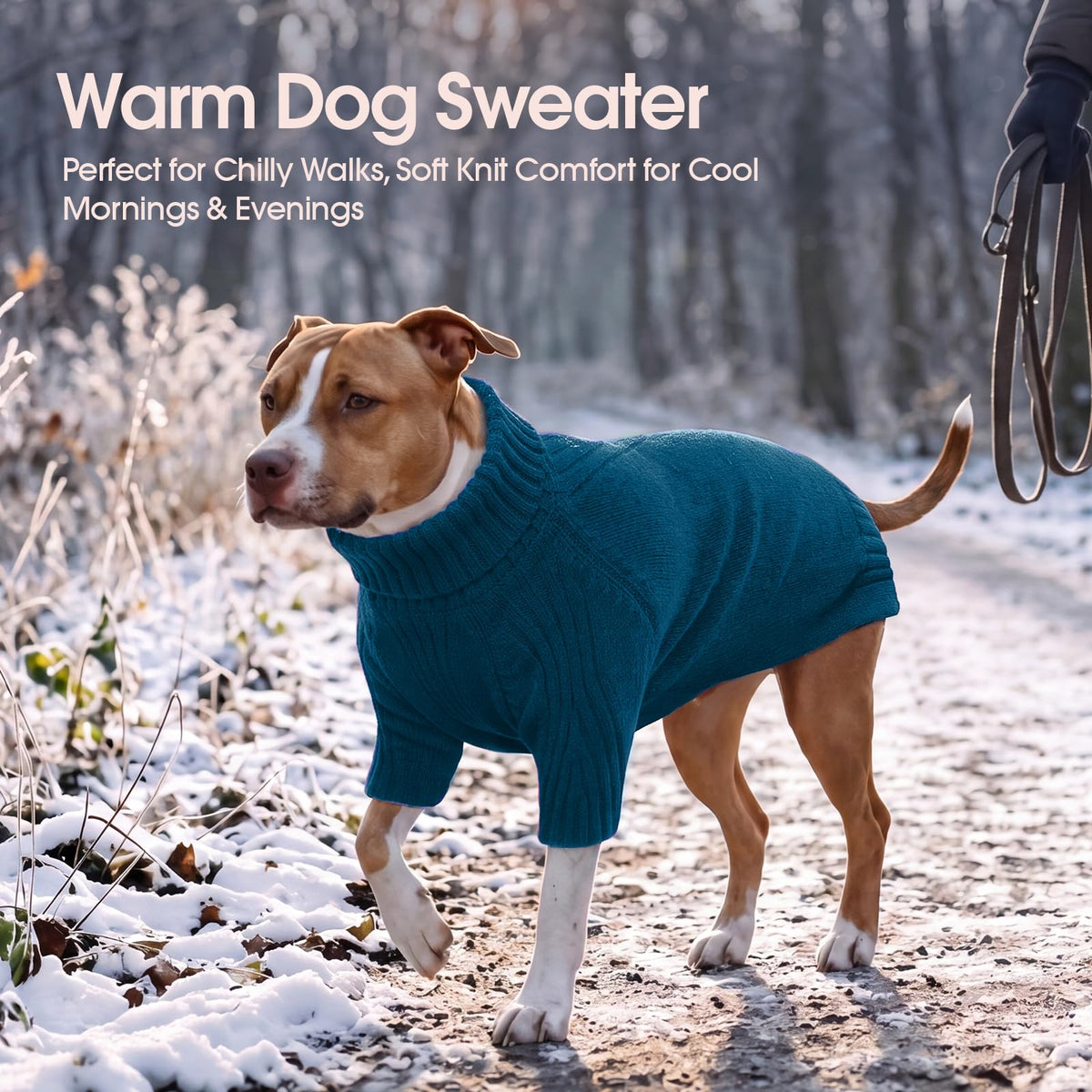 XL Dog Sweater (Peacock Blue / X-Large)