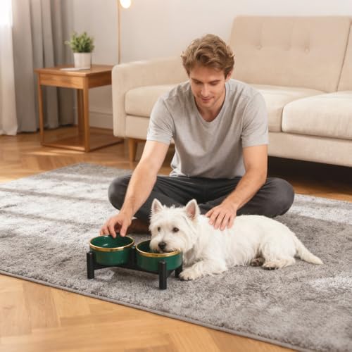 Ceramic Elevated Dog Bowl Set (Grey / 1.6 Cups)