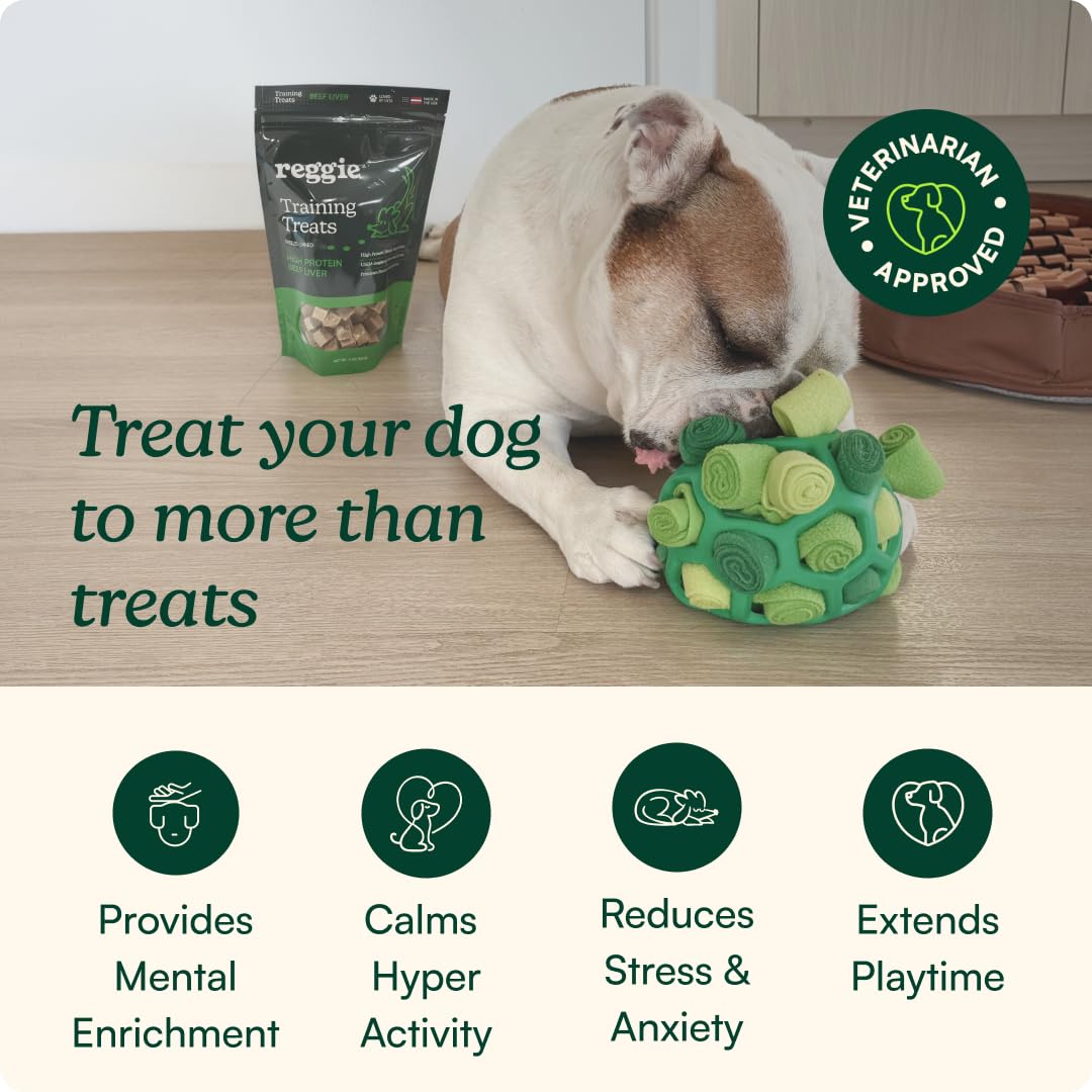 Dog Training Treats with Enrichment Toy (Forager Ball - Turkey & Pumpkin)