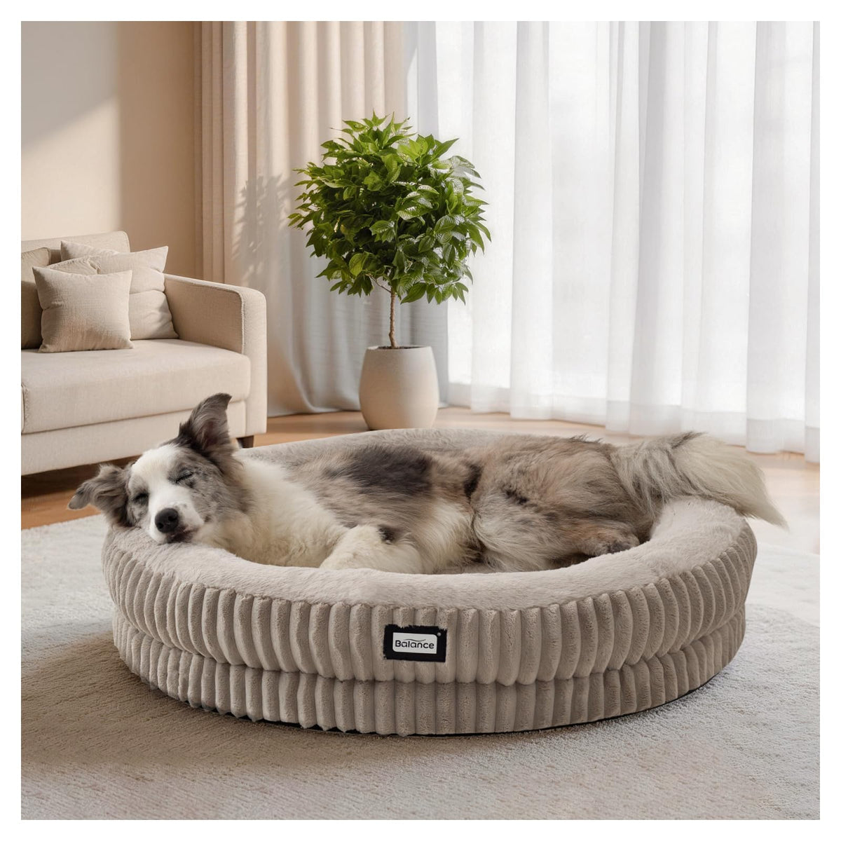 Donut Dog Bed (36.0"L x 36.0"W x 7.5"Th / Wind Chime)