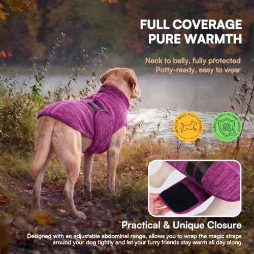 Dog Sweaters for Medium Dogs (Cationic Berry / Medium)