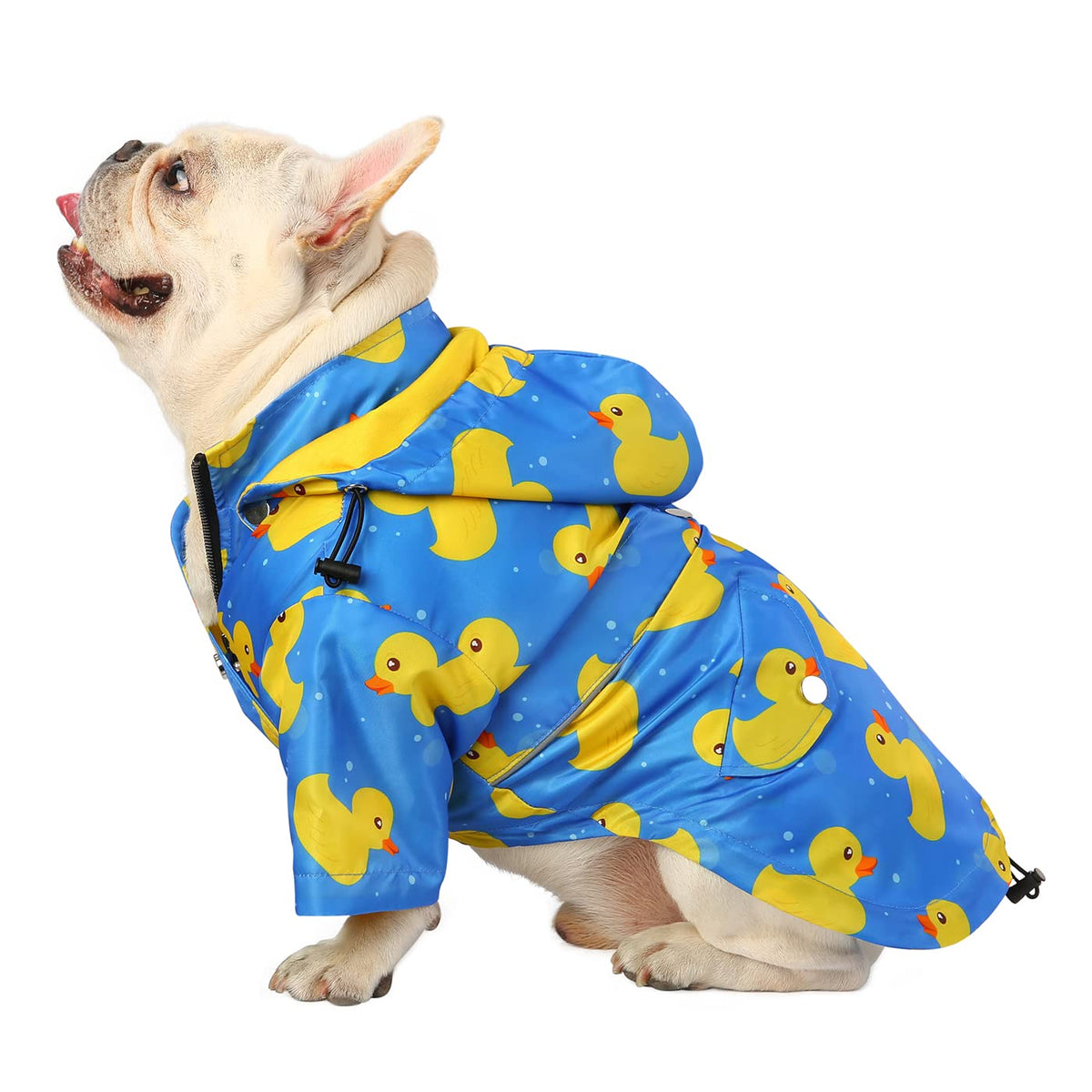 Premium 2 Layer Zip Dog Raincoat Poncho w (Large / Ducks Blue)