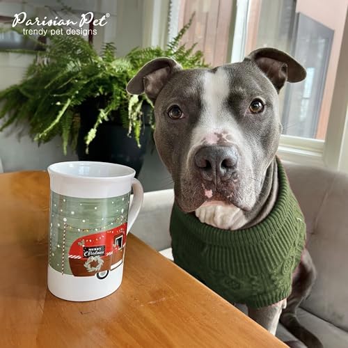 Warm Green Cable Knit Pet Sweater for Dogs & Cats by Parisian Pet (Medium / Cable Knit Green)