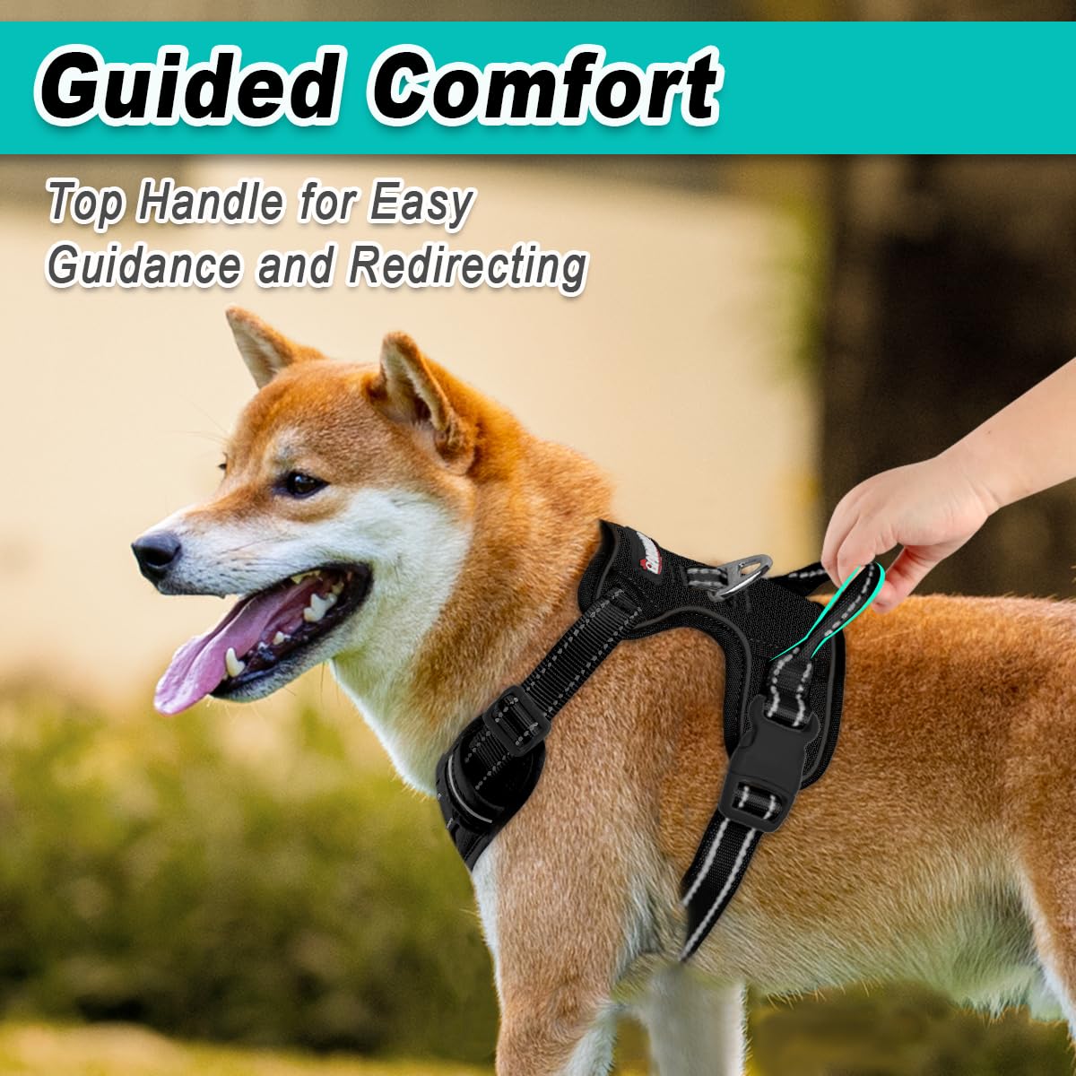 Dog Harness for Large Dog No Pull Mesh 2 Clips Dog Vest (Black-Mesh / Large)