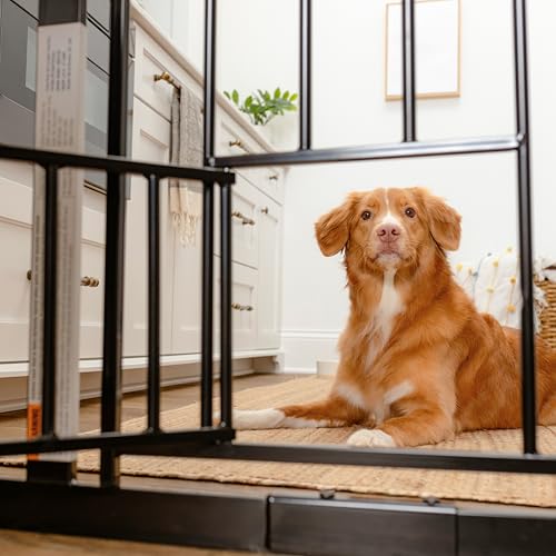 Carlson 29 36.5” Extra Wide Dog Gate with Small Pet Door (Black / 29.5-36.5" W x 30" H)