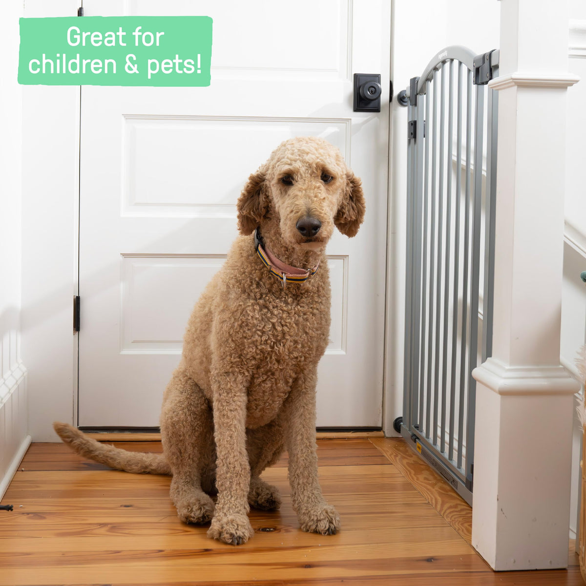 Summer Infant Extra Tall & Wide Safety Pet and Baby Gate (Gray / 53x2x38 Inch (Pack of 1))