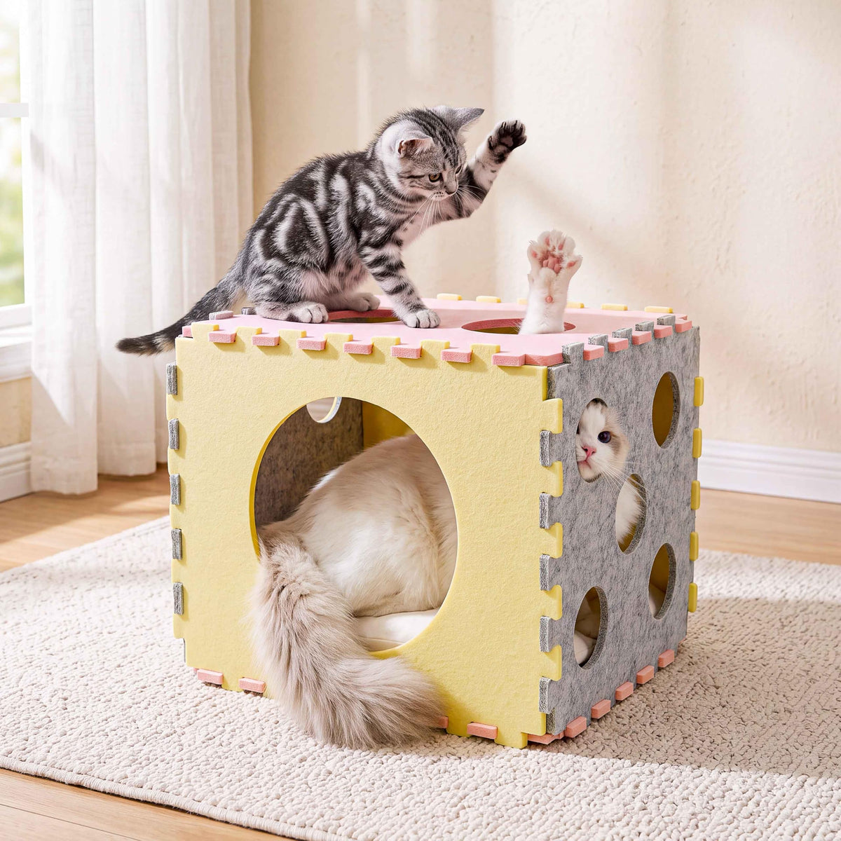 41 Pcs Interactive Cat Toys for Indoor Cats (Retro Brights)