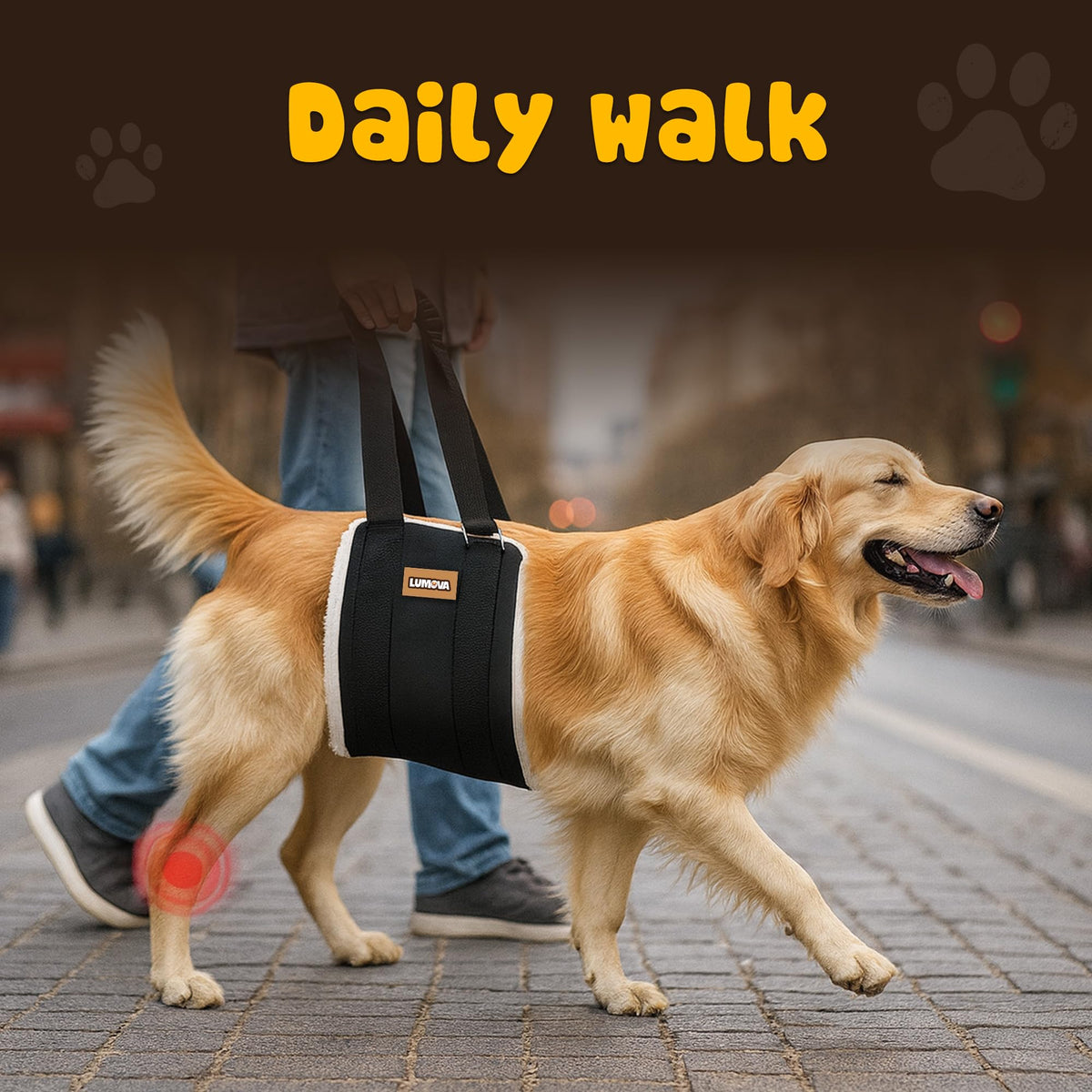 Dog Lift Harness (Medium (M))