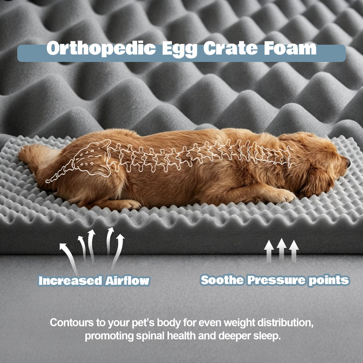 Orthopedic Dog Beds Large Sized Dog (Light Blue/Light Grey / 36.0" L x 27.0" W x 6.7" Th)