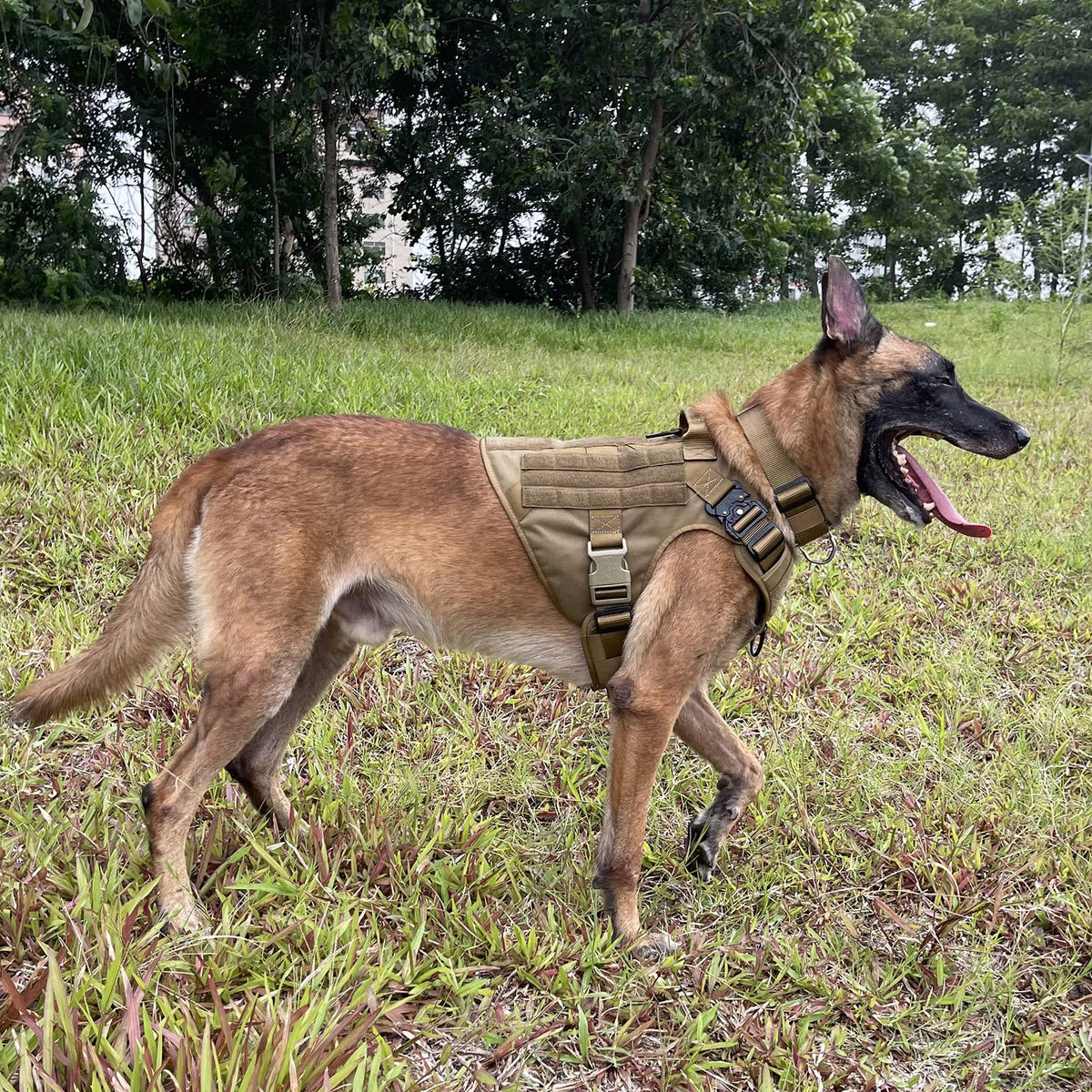 Tactical Dog Harness (X-Large (Pack of 1) / Brown)