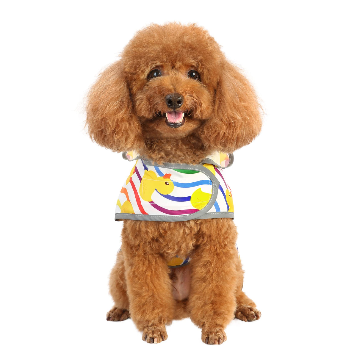 Dog Raincoat for Small Dogs Puppies Waterproof Jacket Hooded Rain Coats with Reflective Strips Leash Hole & Poncho Adjustable Fit (Rainbow Ducks / Small)