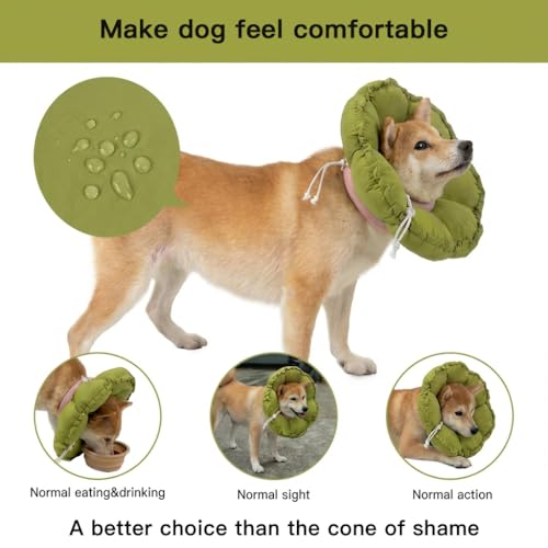Soft Dog Cones for Medium Dogs (XL-Standard / Green Flower)