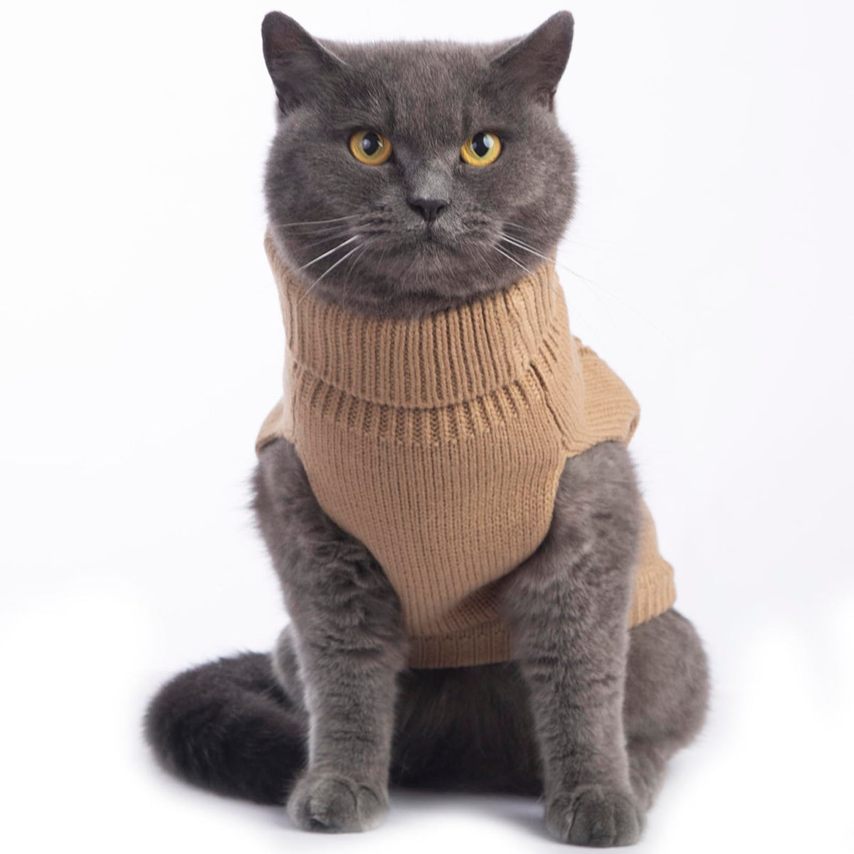 Cat Sweater Stretchy (Khaki / Large)