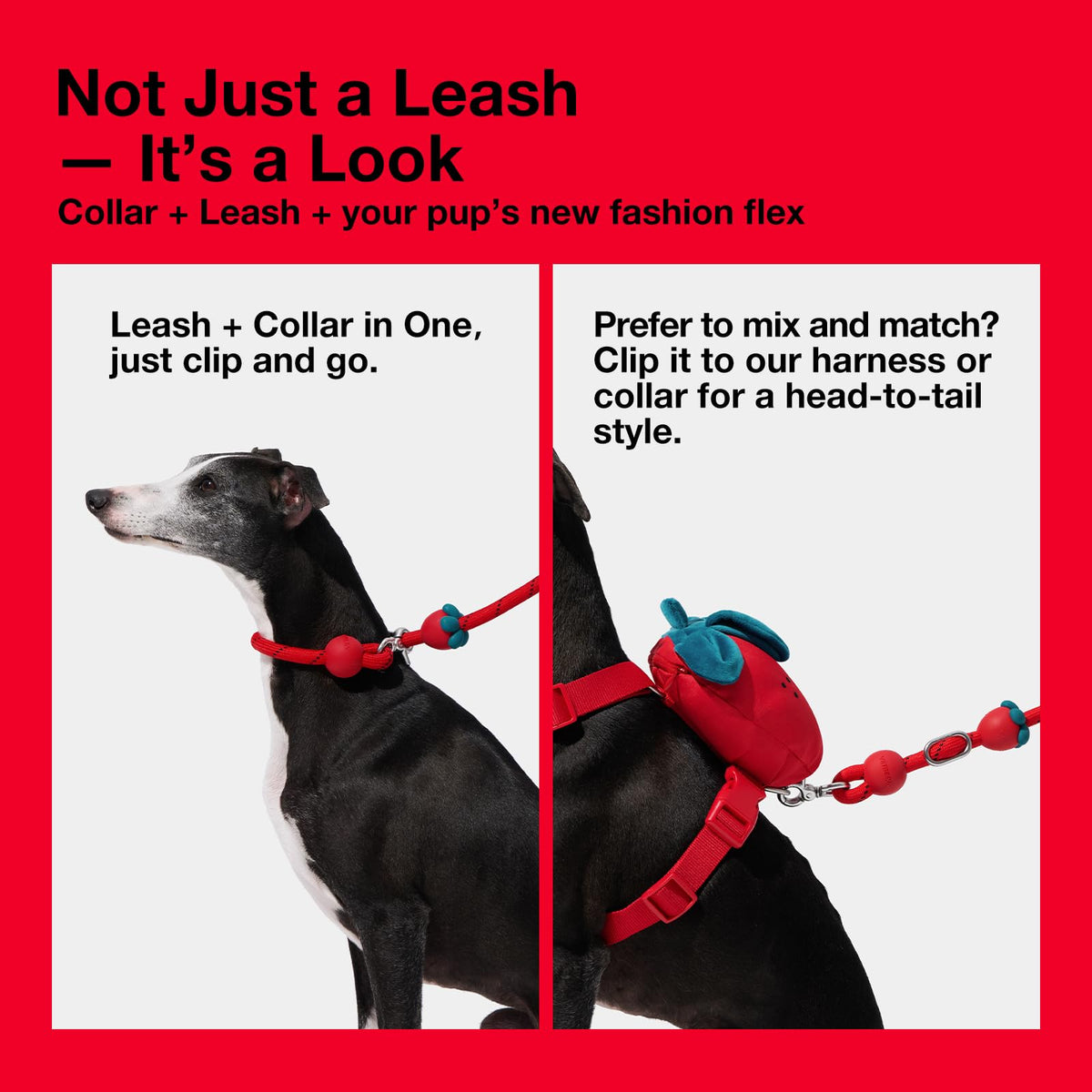 Hands Free Dog Leash (Strawberry Red)