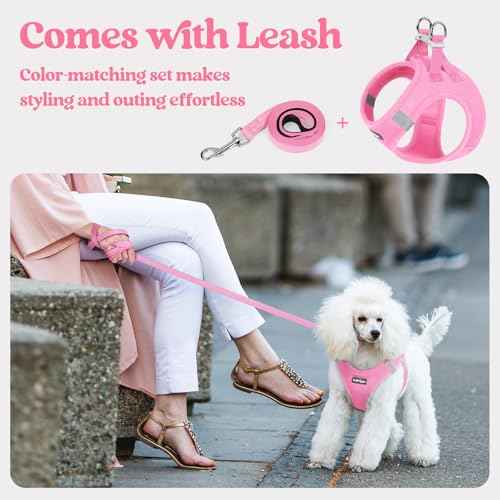 Dog Harness Small Sized and Leash Set (Light Pink / Xxxs (chest: 10.8 - 11.8"))